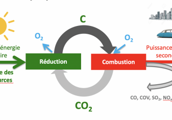 Valorisation énergétique de biomasses