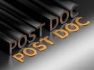 Proposition de Post-doctorat /Post doctorate position